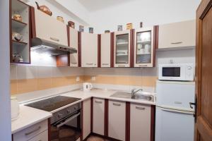 Küche/Küchenzeile in der Unterkunft Penzion Tašner