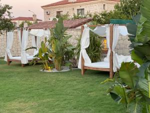 A garden outside Triangulo Hotel
