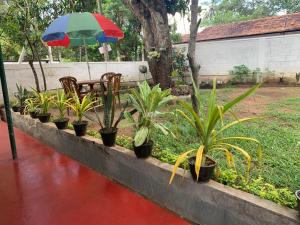 Giardino di Sobha Holiday Home