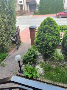 a garden with a lamp and some bushes and a street at Dom blisko centrum in Kielce