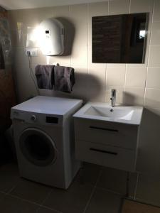 a bathroom with a washing machine and a sink at Gîte à broc à 5 minutes de Plombières les Bains in Plombières-les-Bains
