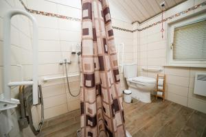 a bathroom with a toilet and a shower curtain at LVM tūrisma un atpūtas centrs "Spāre" in Spāre +37 photos