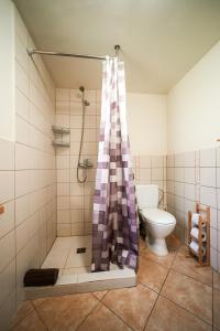a bathroom with a shower and a toilet at LVM tūrisma un atpūtas centrs "Spāre" in Spāre