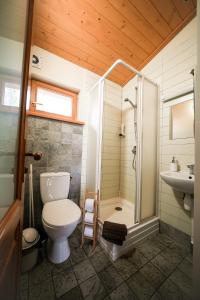 a bathroom with a toilet and a shower and a sink at LVM tūrisma un atpūtas centrs "Spāre" in Spāre