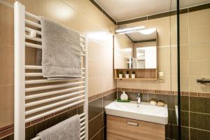 un bagno con lavandino e specchio di Apartmán u Jiříka a Poděbrady