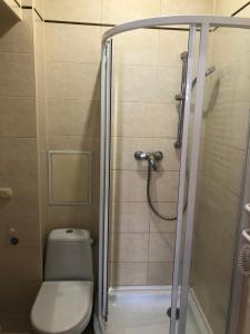 ein Bad mit Dusche und WC in der Unterkunft Gallery in Lwiw