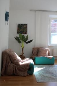 a living room with a couch and a potted plant at Albergo Diffuso Porrentruy in Porrentruy