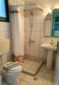 Kúpeľňa v ubytovaní Dioskouroi Apts