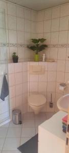 Koupelna v ubytování Bine's Home + 10 fotografií