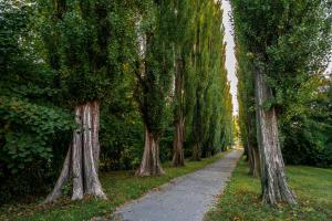 Giardino di Apartmán u Jiříka