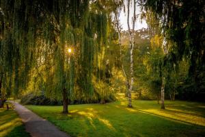 Giardino di Apartmán u Jiříka