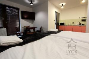 Kuchnia lub aneks kuchenny w obiekcie Lyck Apartamenty