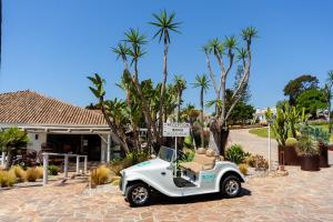 Boho Club, Marbella – Updated 2022 Prices