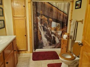 a bathroom with a shower curtain and a toilet at Snyder's Knob in Millerstown