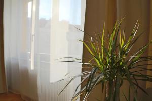 Fotografie z fotogalerie ubytování Charles Square Apartments v Praze