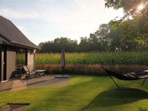 eine Hängematte und ein Sonnenschirm im Hof in der Unterkunft B&B Snelleghem in Snellegem