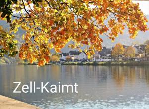einen Blick vom Ufer eines Sees mit Herbstblättern in der Unterkunft Haus Marientaler Au in Zell an der Mosel