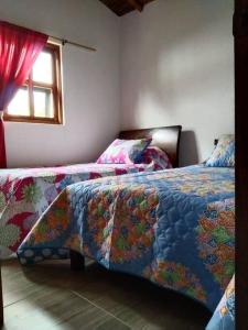 a bedroom with two beds and a window at Samaria, un lugar para descansar y disfrutar in Santa Elena