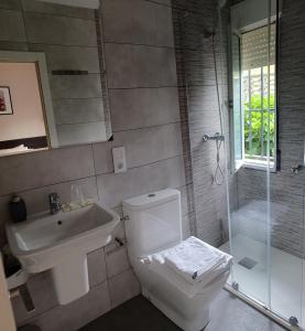 a bathroom with a toilet and a sink and a shower at Hotel Sebreñu in Sebreño