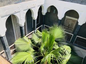 Photo de la galerie de l'établissement Riad Green Palm, à Marrakech