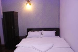 Postel nebo postele na pokoji v ubytování Serene B&B Kathmandu