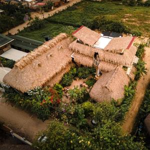 una vista aérea de un jardín con techos de paja en Bella Flor Hostel Palomino, en Palomino