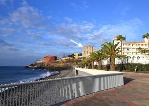 a beach with buildings and palm trees next to the ocean at Apartamento Romantico by the Ocean in Caniço