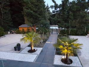 a garden with two palm trees and a building at Charmantes Design-Apartment in Schiffweiler - Self-Check-in - 2 Parkplätze - WLAN - Balkon mit Gartenzugang - private Terrasse -ruhig gelegen - Nähe See & Wald - bis 4 Pers in Schiffweiler +25 photos