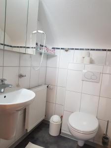 Baño blanco con aseo y lavamanos en Haus Gerda, en Gersfeld