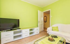 TV a/nebo společenská místnost v ubytování Apartman Marsanic