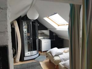 a attic bathroom with a shower and a window at Beatrice's gardens in Nivelles