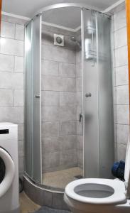 a shower stall with a toilet in a bathroom at Гостьовий дім Секвойя in Verkhniy Bystryy