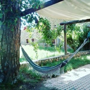 una hamaca atada a un árbol en un jardín en ferme Walila, en Douar Doukkara