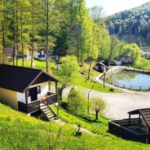 ein Haus auf einem Hügel mit einem Teich in der Unterkunft Satu Muscelean in Albeștii de Muscel