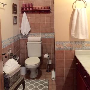 un bagno con un water e un lavandino di FLAT DE CHARME RÚSTICO EM GRAMADO a Gramado