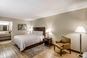 Postel nebo postele na pokoji v ubytování Red Roof Inn PLUS+ Dallas - Addison