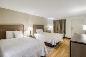 Postel nebo postele na pokoji v ubytování Red Roof Inn PLUS+ Dallas - Addison
