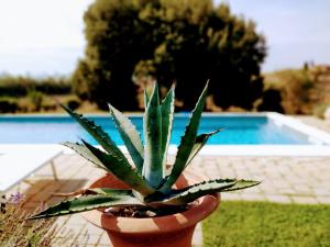 The swimming pool at or close to Villa S.Anna