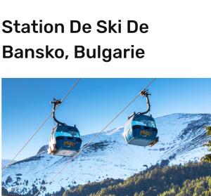 a pair of ski lifts flying over a snowy mountain at Na planina in Razlog