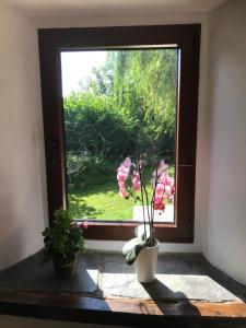Zahrada ubytování Gîte Wibrin