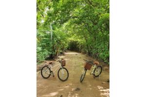 two bikes parked on a dirt road in a forest at Vila do Porto, Praia do Patacho - Bangalô Patacho in Pôrto de Pedras