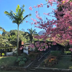 a house with a tree with pink flowers at Pinheiros do Rocio in Petrópolis