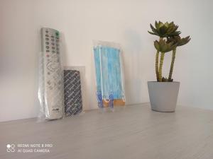 einen Tisch mit einer Vase und einer Pflanze darauf in der Unterkunft ESTUDIO SOLYPLAYARELAX in Fuengirola