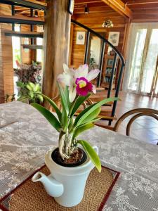Mynd úr myndasafni af Rang Robin Farmstay with swimming pool í Ban Wang Muang
