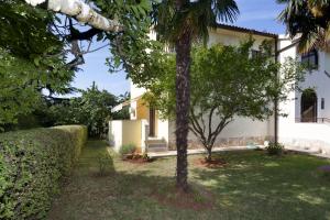 a house with a palm tree in the yard at Apartment Vlado in Poreč