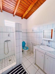 y baño con aseo, lavabo y ducha. en La Villa Ixora, magnifique Villa avec Piscine, en Les Abymes