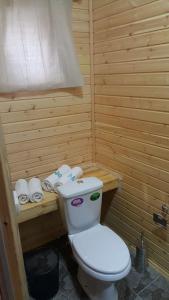 a bathroom with a toilet in a wooden sauna at Boutigue Hotel Nebesa in Chimgan