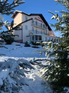 パルティニシュにあるPensiunea Romantic Belvedere Paltinisの雪中の建物