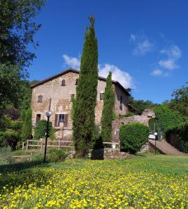 un vieux bâtiment en pierre dans un champ de fleurs jaunes dans l'établissement B&B IL Giardino del Borgo, à Veiano