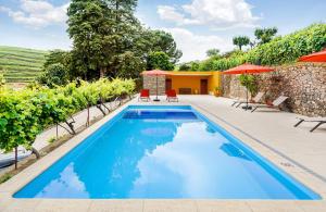 a pool with chairs and umbrellas next to a vineyard at Casa do Salgueiral in Santa Marta de Penaguião